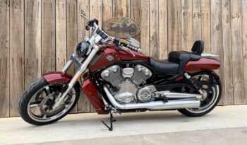 HARLEY DAVIDSON VRSCF MUSCLE lleno