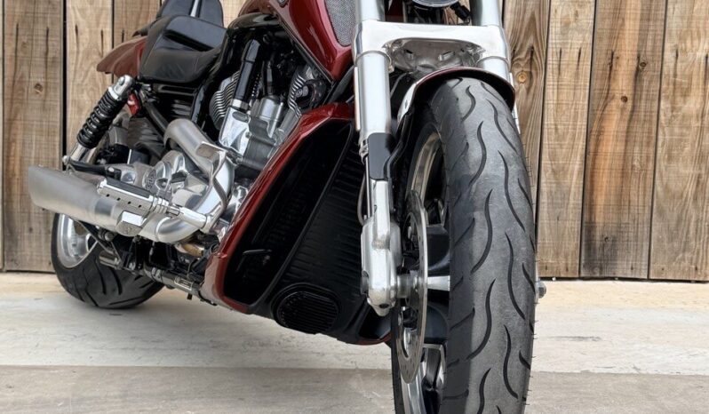 HARLEY DAVIDSON VRSCF MUSCLE lleno