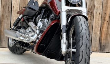 HARLEY DAVIDSON VRSCF MUSCLE lleno