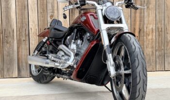 HARLEY DAVIDSON VRSCF MUSCLE lleno