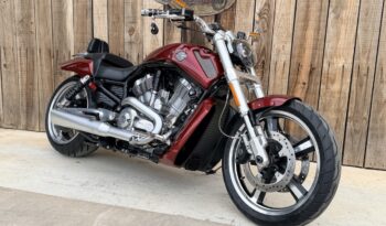 HARLEY DAVIDSON VRSCF MUSCLE lleno