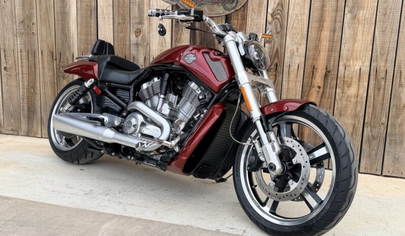 HARLEY DAVIDSON VRSCF MUSCLE lleno