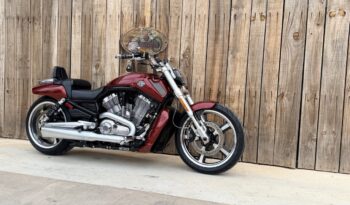 HARLEY DAVIDSON VRSCF MUSCLE lleno