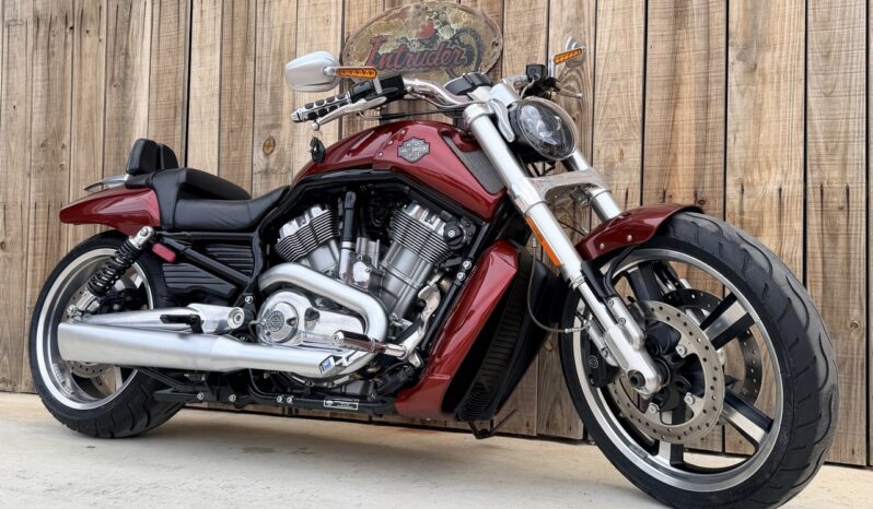 HARLEY DAVIDSON VRSCF MUSCLE lleno