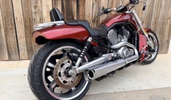 HARLEY DAVIDSON VRSCF MUSCLE lleno