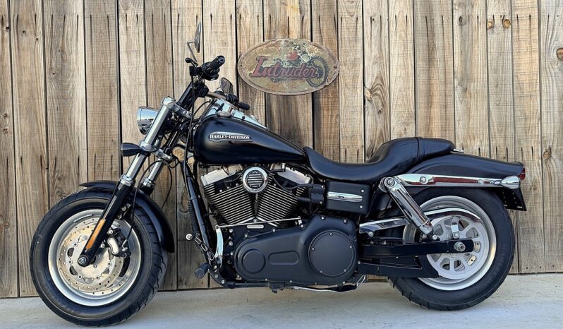 HARLEY DAVIDSON DYNA FAT BOB lleno