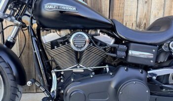HARLEY DAVIDSON DYNA FAT BOB lleno