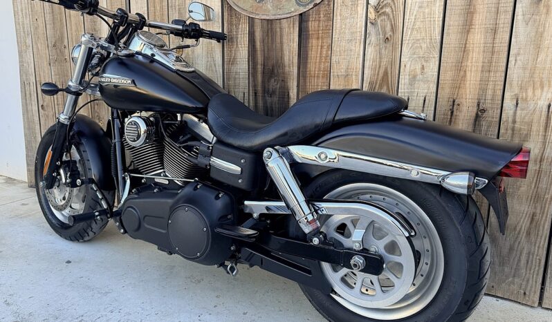 HARLEY DAVIDSON DYNA FAT BOB lleno
