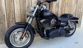 HARLEY DAVIDSON DYNA FAT BOB lleno
