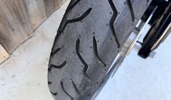 HARLEY DAVIDSON DYNA FAT BOB lleno