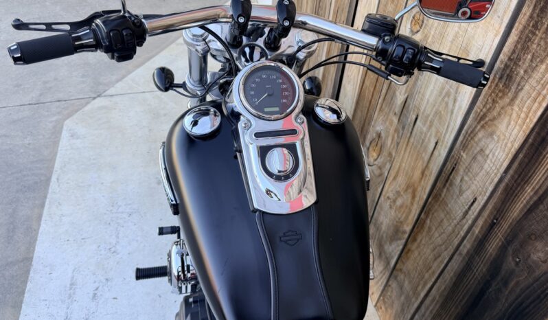 HARLEY DAVIDSON DYNA FAT BOB lleno