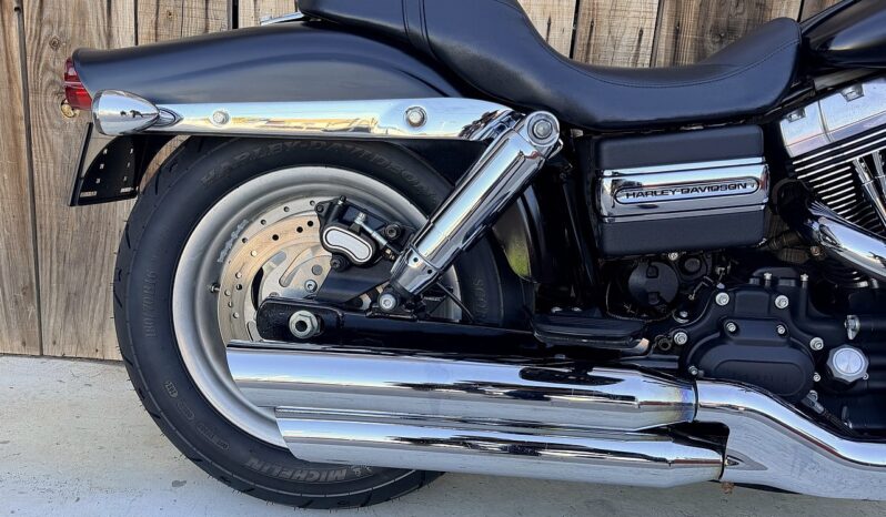 HARLEY DAVIDSON DYNA FAT BOB lleno