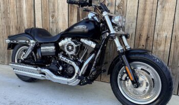 HARLEY DAVIDSON DYNA FAT BOB lleno