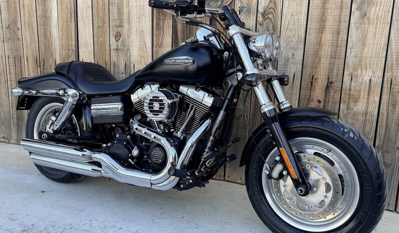 HARLEY DAVIDSON DYNA FAT BOB lleno