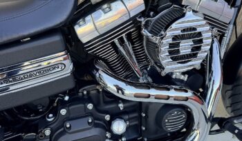 HARLEY DAVIDSON DYNA FAT BOB lleno