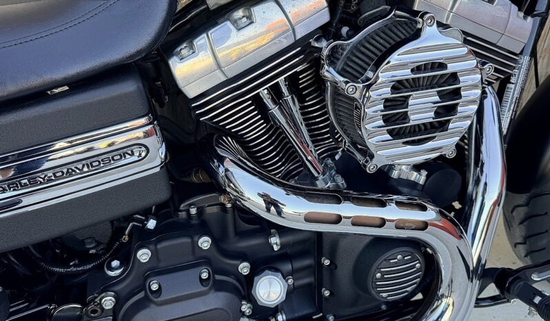HARLEY DAVIDSON DYNA FAT BOB lleno