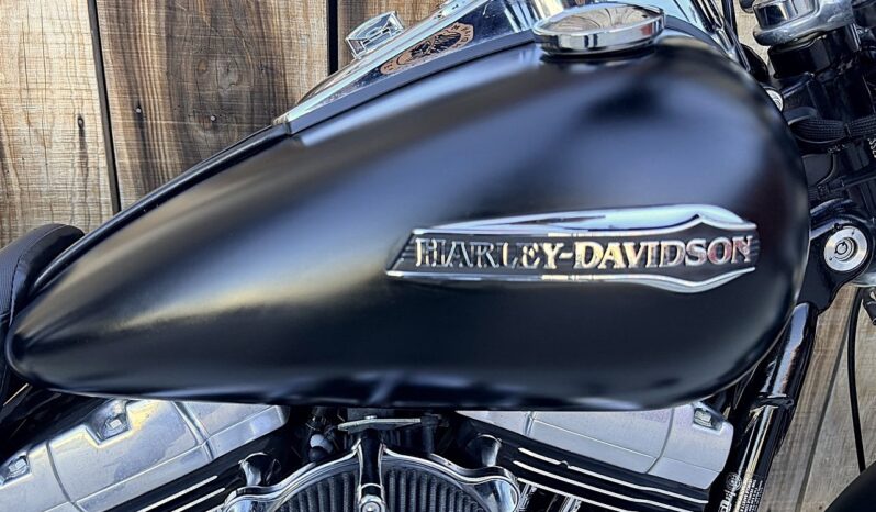HARLEY DAVIDSON DYNA FAT BOB lleno