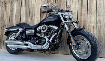 HARLEY DAVIDSON DYNA FAT BOB lleno