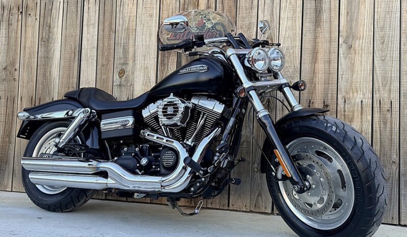 HARLEY DAVIDSON DYNA FAT BOB lleno