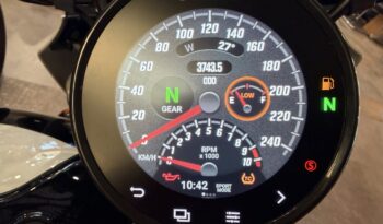 INDIAN SCOUT 101 lleno