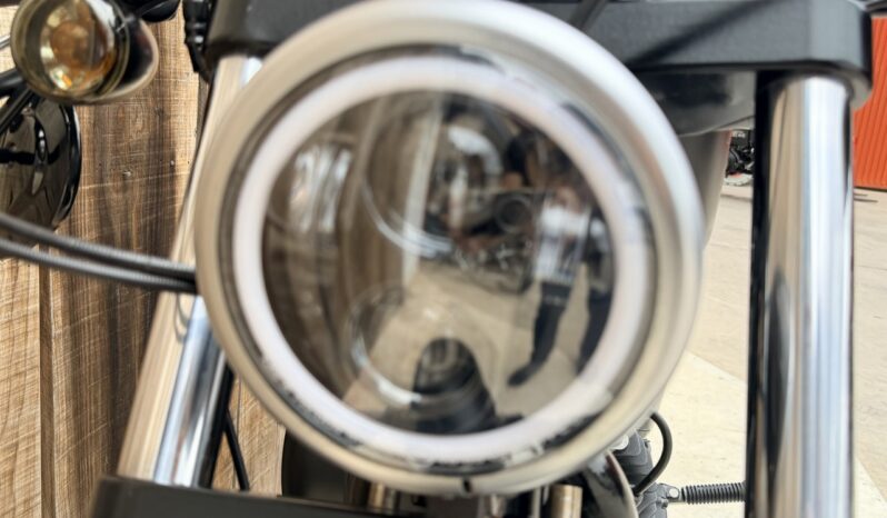 HARLEY DAVIDSON XL883 IRON A2 lleno