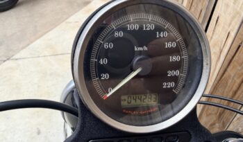 HARLEY DAVIDSON XL883 IRON A2 lleno