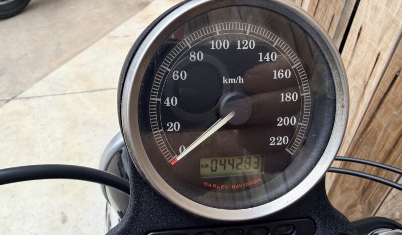 HARLEY DAVIDSON XL883 IRON A2 lleno