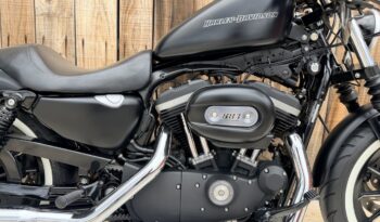 HARLEY DAVIDSON XL883 IRON A2 lleno