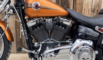 HARLEY DAVIDSON SOFTAIL BREAKOUT lleno