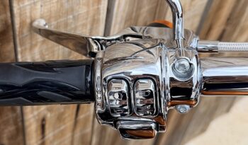 HARLEY DAVIDSON SOFTAIL BREAKOUT lleno