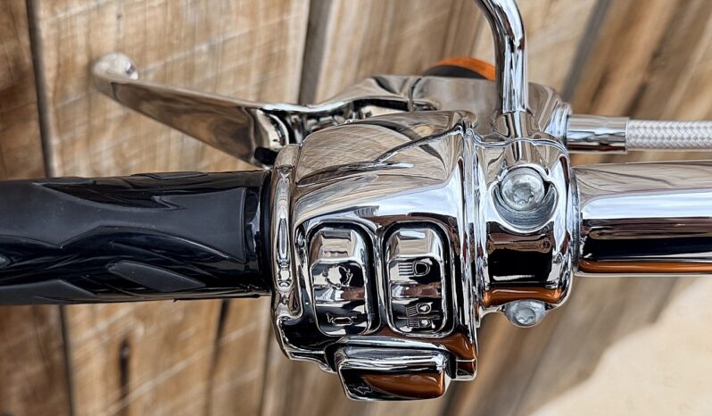 HARLEY DAVIDSON SOFTAIL BREAKOUT lleno