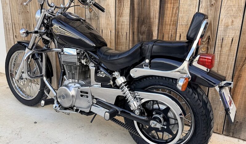 SUZUKI LS650 SAVAGE A2 lleno