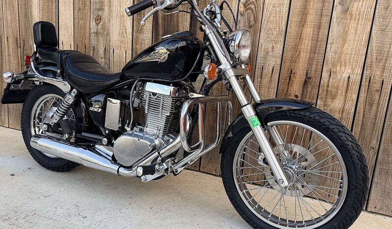 SUZUKI LS650 SAVAGE A2 lleno