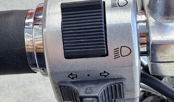 SUZUKI LS650 SAVAGE A2 lleno