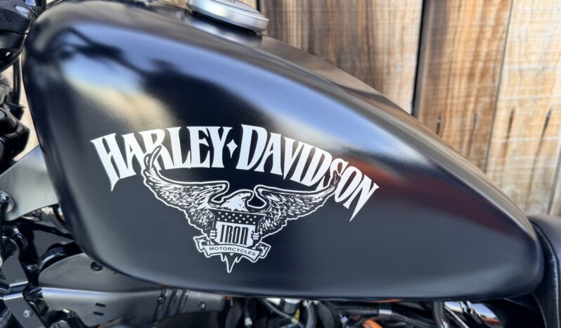 HARLEY DAVIDSON XL883 IRON ABS lleno