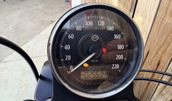 HARLEY DAVIDSON XL883 IRON ABS lleno