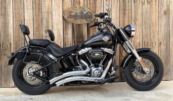 HARLEY DAVIDSON FLS SOFTAIL SLIM lleno