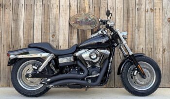 HARLEY DAVIDSON DYNA FAT BOB lleno