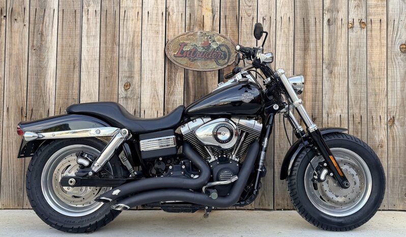 HARLEY DAVIDSON DYNA FAT BOB lleno