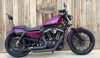 HARLEY DAVIDSON XL883 IRON lleno