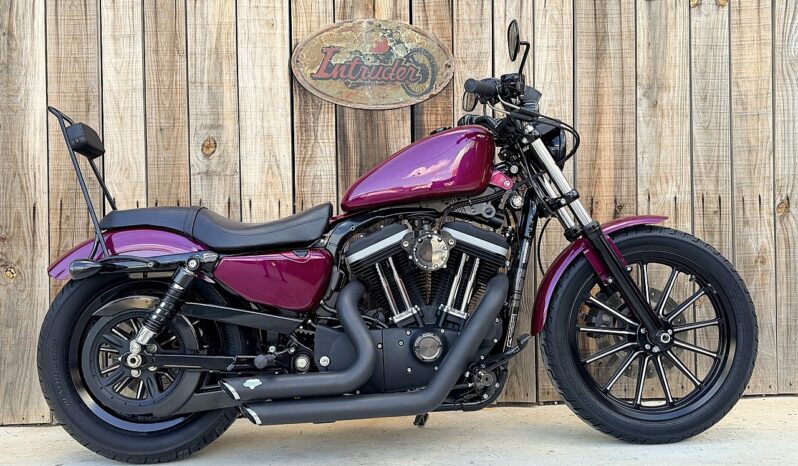 HARLEY DAVIDSON XL883 IRON lleno