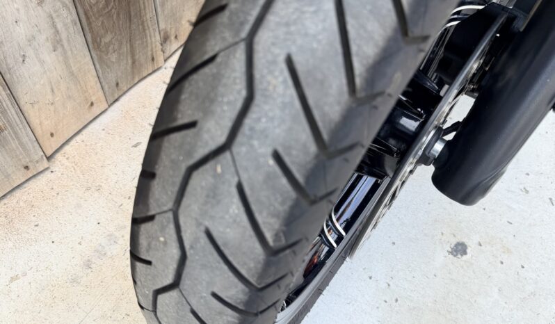 INDIAN CHIEF DARK HORSE lleno