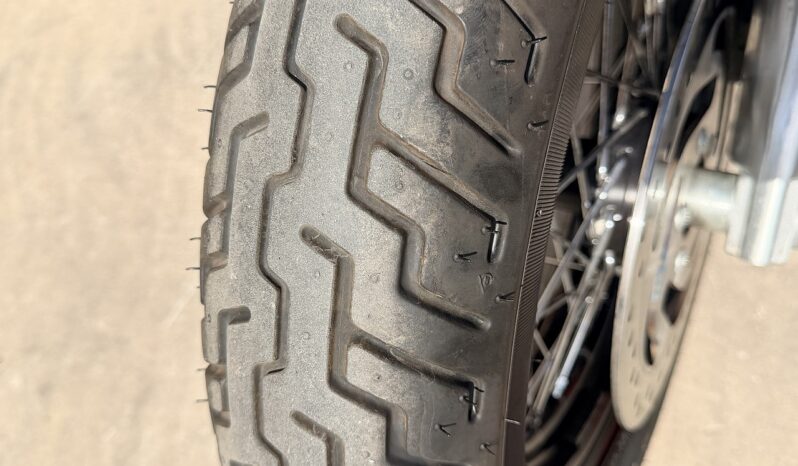 HARLEY DAVIDSON FLS SOFTAIL SLIM lleno