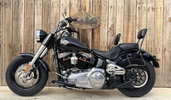 HARLEY DAVIDSON FLS SOFTAIL SLIM lleno
