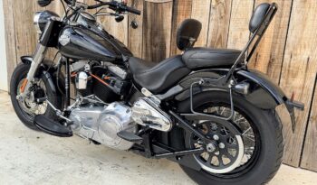 HARLEY DAVIDSON FLS SOFTAIL SLIM lleno