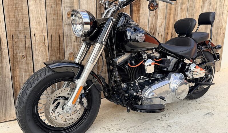 HARLEY DAVIDSON FLS SOFTAIL SLIM lleno
