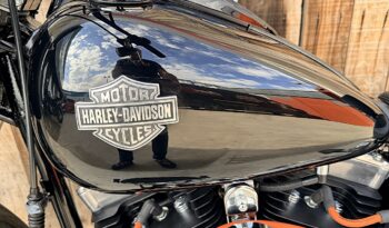 HARLEY DAVIDSON FLS SOFTAIL SLIM lleno