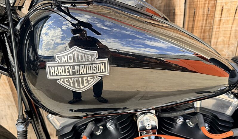HARLEY DAVIDSON FLS SOFTAIL SLIM lleno