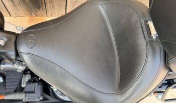 HARLEY DAVIDSON FLS SOFTAIL SLIM lleno