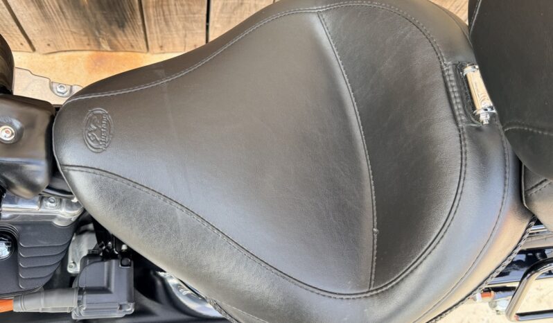 HARLEY DAVIDSON FLS SOFTAIL SLIM lleno